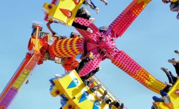 Upper surface of the impenetrable foliage