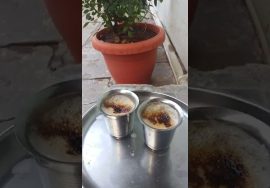 ☕ காஃப் டைம்? (evening coffee time)Food  lovers?? #shorts #youtube #mayiladuthurai #Arun’s Lifestyle