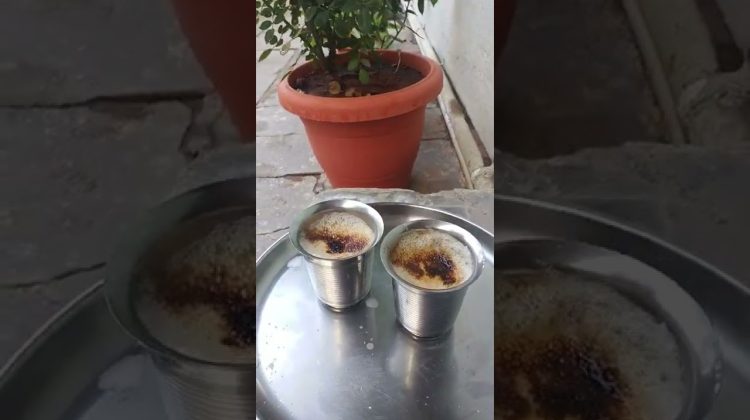 ☕ காஃப் டைம்? (evening coffee time)Food  lovers?? #shorts #youtube #mayiladuthurai #Arun’s Lifestyle