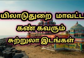 Mayiladuthurai district tourist place/மயிலாடுதுறை மாவட்டம் அழகிய சுற்றுலாதலம்/tamil/travel research