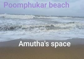 Poompuhar beach/kauverypoompattinam/pughar/Mayiladuthurai/tamilnadu/india tourist places