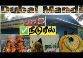 Dubai Mandi | Food vlog | Food review |Nidur | Mayiladuthurai | Tamil